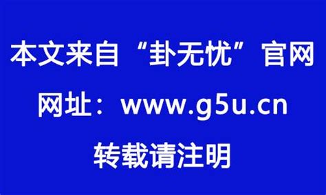 1983属猪2024年运程|属猪2024年运势及运程详解 2024年属猪人的全年每月运势